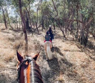 Broadford House | Hickey Vale Farm Studio