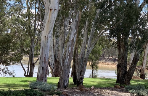 Moama Resort | Highview Waters Resort Moama , overlooking the Murray River a premier property.