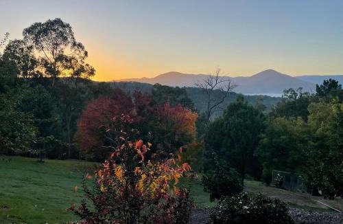 Healesville Apartment | Hillcrest Views Studio