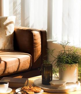 Penguin House | House on Hampson