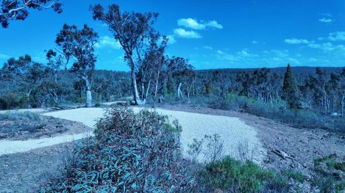 Binjura House | Janaki Farmhouse - 5 Bedroom House Villa at Top of Cooma