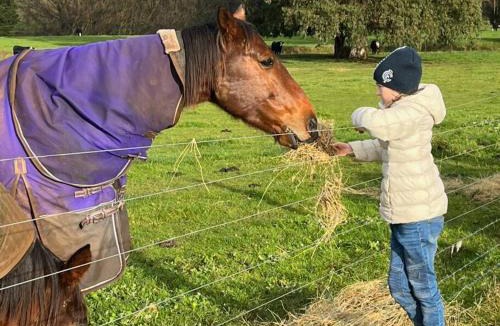 Buln Buln House | JillyPark Farmstay Experience Discover Authentic Farm Life Complimentary Breakfast Included