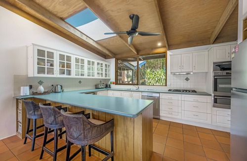 Port Macquarie House | Koalas at Links Lighthouse Beach