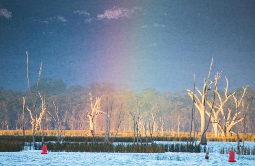 Lake Fyans Resort | Lake Fyans Holiday Park