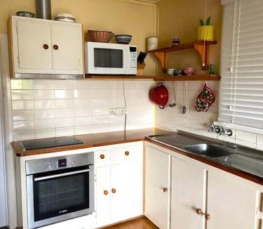 American River House | Lazy Shanty