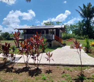 Montsinery-Tonnegrande House | Le coin des Maripas