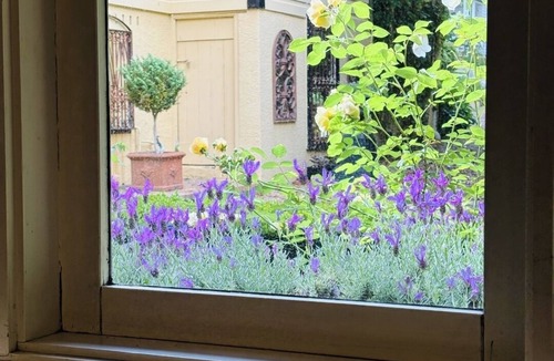 Leura Apartment | Leura's Magical Manderley - Studio Room