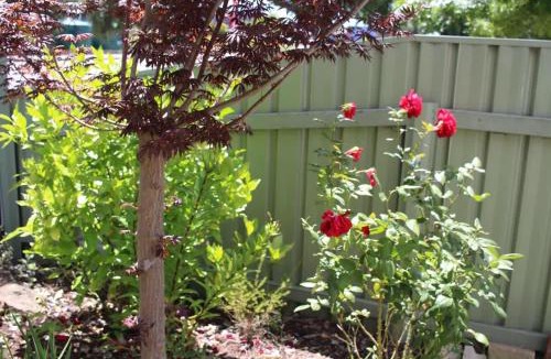 Invermay House | Little Gem City Cottage
