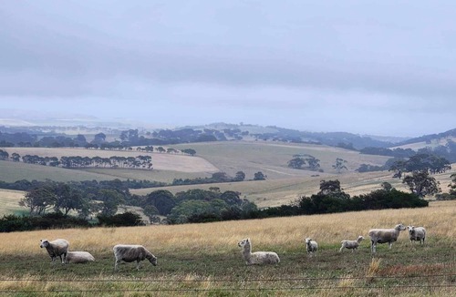Bald Hills Cabin | Lush Pastures - Yankee Lodge
