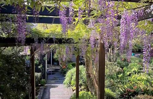 St Ives House | Luxury Garden Cottage Retreat - Romantic & Restful