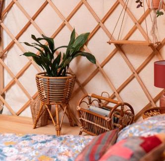 Adventure Bay Other | Luxury yurt glamping at Littlegrove