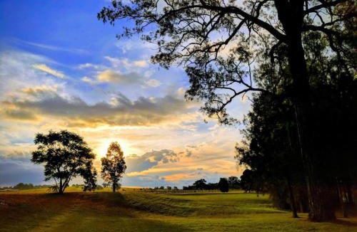 Lovedale House | Madigan Cottages | Homestead Cottage
