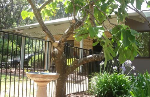 Margaret River Apartment | Margaret House