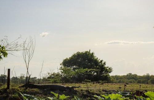 Mount Bundey Resort | Mary River Wilderness Retreat
