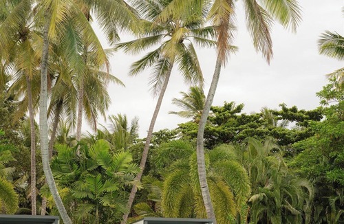 Port Douglas Villa | Mirage Resort Villa 438 with access to Sheraton Facilities