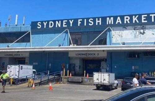 Pyrmont House | Modern 4BR House Walk to ICC & Darling Harbour & Fish Market & CBD