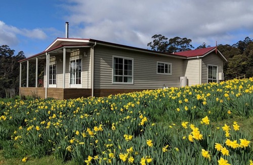 Golden Valley House | Mountain Blue Guest house