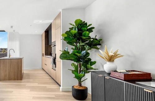 Newcastle West Apartment | Newcastle City Stay - Pool, Private Cinema and Rooftop