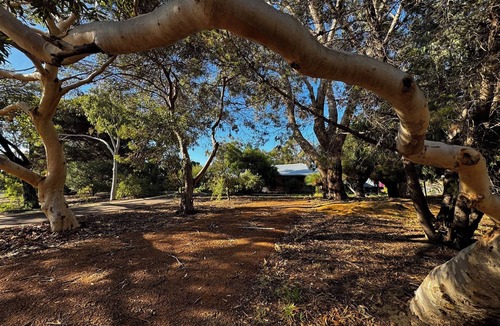 Falcon House | Nutbush Retreat – Space to Connect Room to Relax. Memories to Last