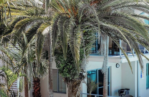 Salamander Bay Apartment | Oaks Port Stephens Pacific Blue Resort Sea Salt Studio