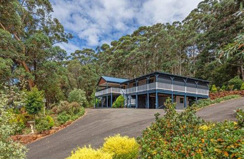 Ocean Beach House | Oceanview Luxury Retreat Amongst the Trees