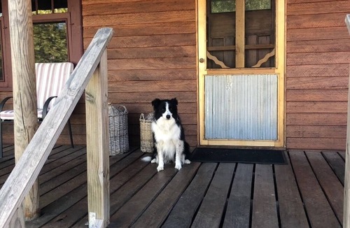 Wooragee Cottage | Orchard Cottage
