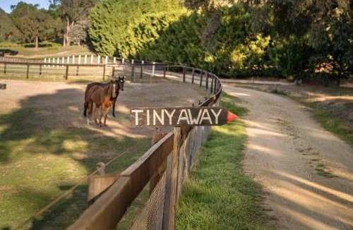 Limonite House | Paradise by Tiny Away