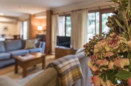 Limonite Bed & Breakfast | Peonies and pomegranates B&B country garden escape