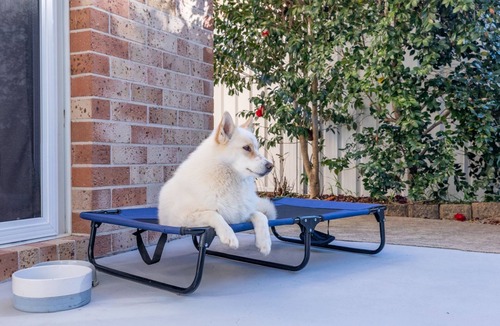 Nelson Bay House | Pet friendly 24 Irawari Crescent - pool, air con, boat parking