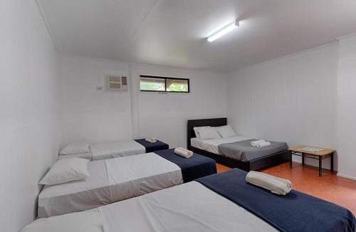 Cape Tribulation Hostel | PK's Jungle Village