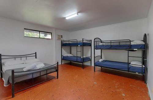 Cape Tribulation Hostel | PK's Jungle Village