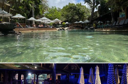 Port Douglas Apartment | Port Douglas Tropical Oasis