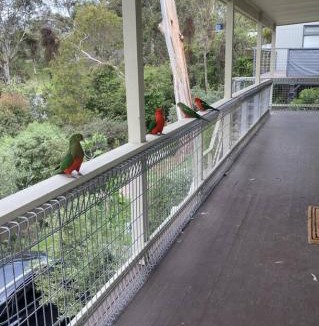 Lorne House | Prasino in Central Lorne