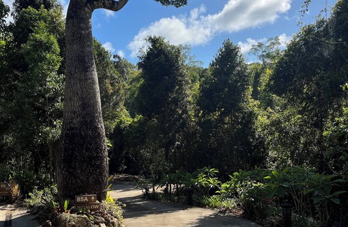 Airlie Beach House | Private Bungalow in Rainforest Setting