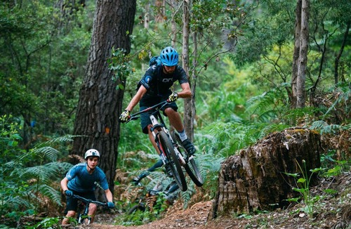 Margaret River Resort | RAC Margaret River Nature Park