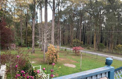 Reefton Apartment | Retreat in a beautiful forest!