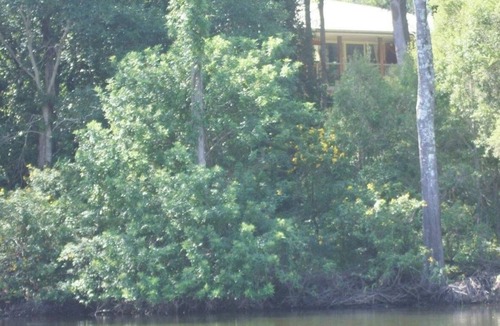Scotts Head Apartment | River Oak Retreat, on the river, Peaceful and private 600 mtrs to beach