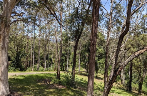 Bandon Grove Ski Chalet | Romantic Cabin Escapes Barrington Tops - Lorikeet
