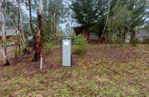 Sawmill Settlement House | Rosella Views - Base of Buller