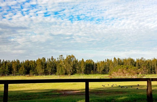 Anna Bay House | Sahara Trails 3 Bedroom House - Coastal farmhouse escape, with horse riding at your door!