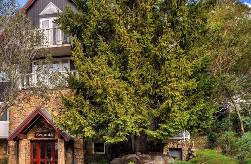 Thredbo Apartment | Sequoia 4 - Central Village
