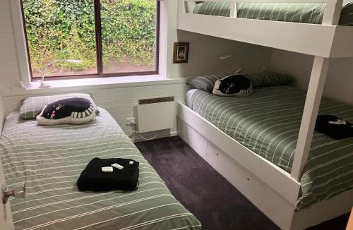 Thredbo Apartment | Ski, Mtn Bike or Hike from the heart of Thredbo
