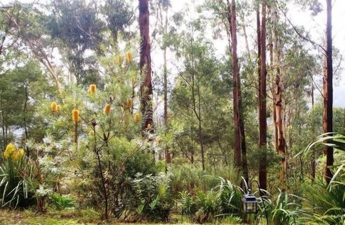 Warburton Cottage | Sleepy Wombat Cottage