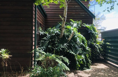 Barwon Heads House | Spacious and unique beach cottage for relaxing getaways