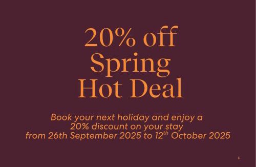 Anna Bay House | Starfish at Anna Bay 4 Fishermans Bay Road