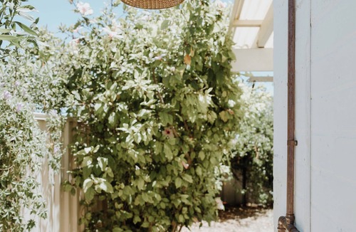 Two Rocks House | Sun drenched 70s beach house. Close to shops and beaches 🏖️