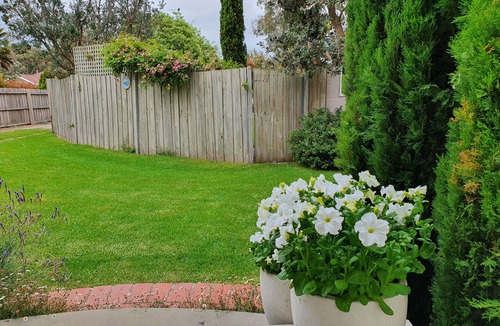 Torquay House | Sunny, cosy, private cottage by the beach