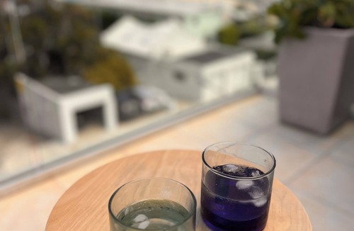 North Bondi Apartment | Sunny Side Up North Bondi