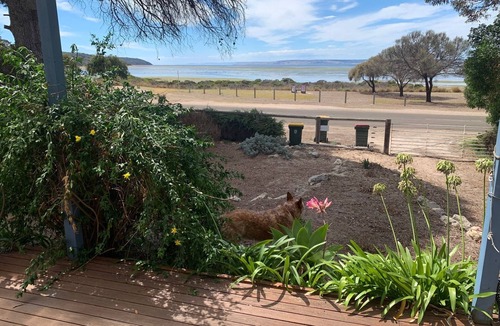 American River House | Swordfish, Pet Friendly SHACK