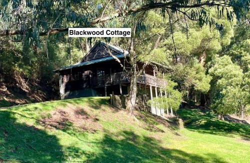 Apollo Bay House | Tall Trees Eco Retreat